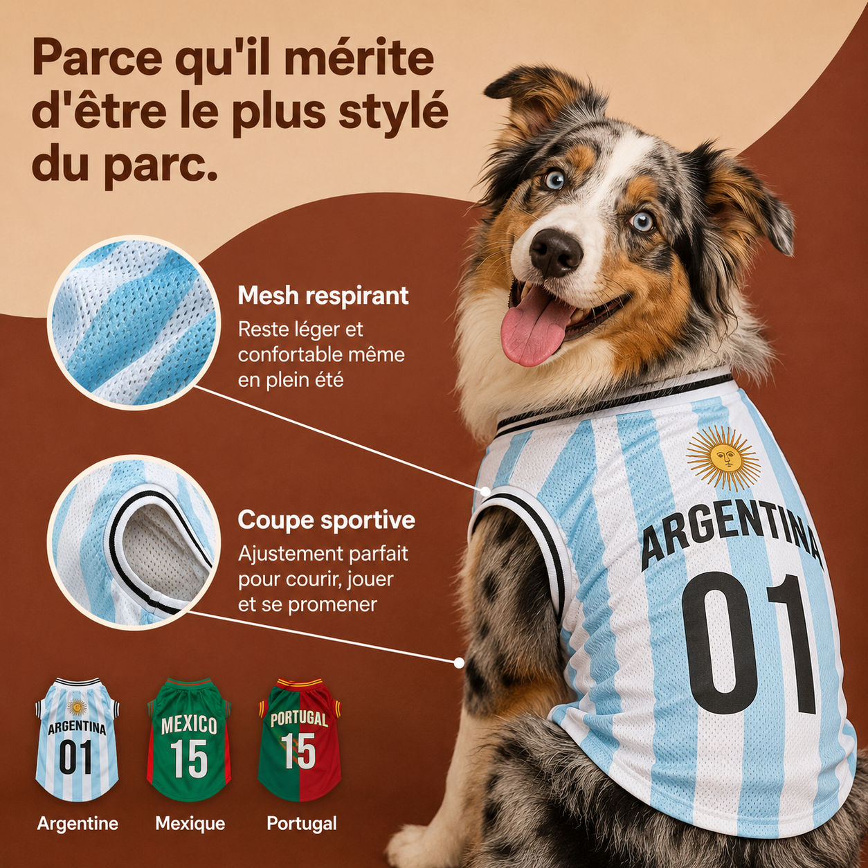 Maillot Argentine pour chien — vue principale Albiceleste