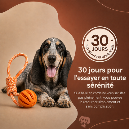 Balle Corde Interactive