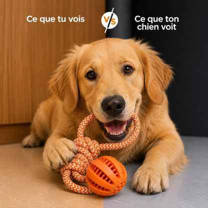 Balle Corde Interactive