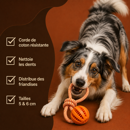 Balle Corde Interactive