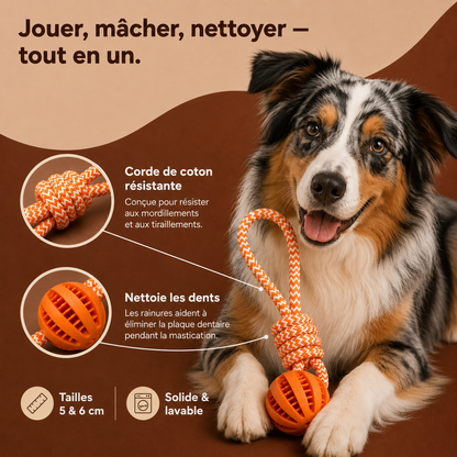 Balle Corde Interactive