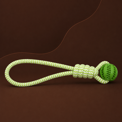 Balle Corde Interactive