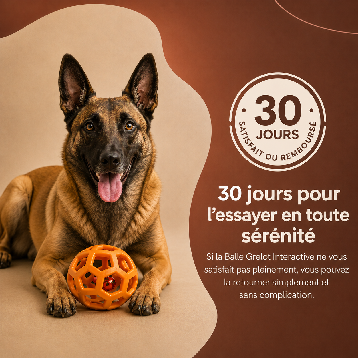 Balle Grelot Interactive