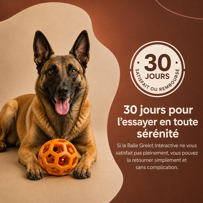 Balle Grelot Interactive