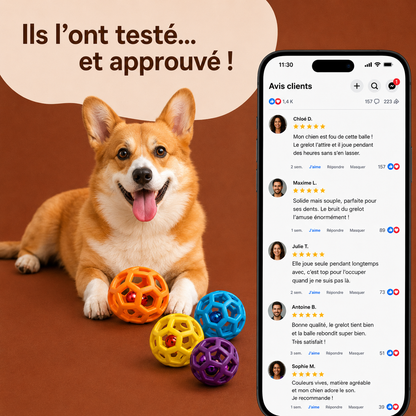 Balle Grelot Interactive