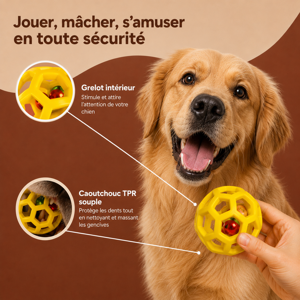 Balle Grelot Interactive