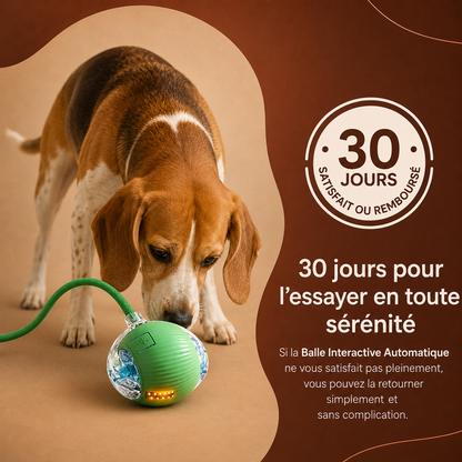 Balle Interactive Automatique