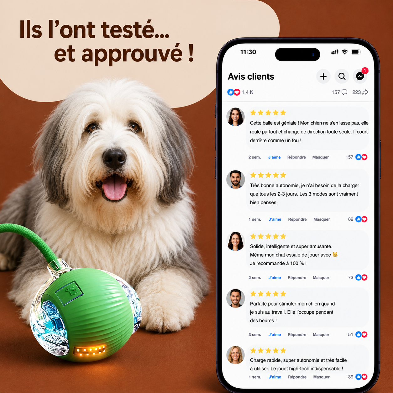 Balle Interactive Automatique