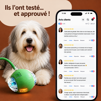 Balle Interactive Automatique