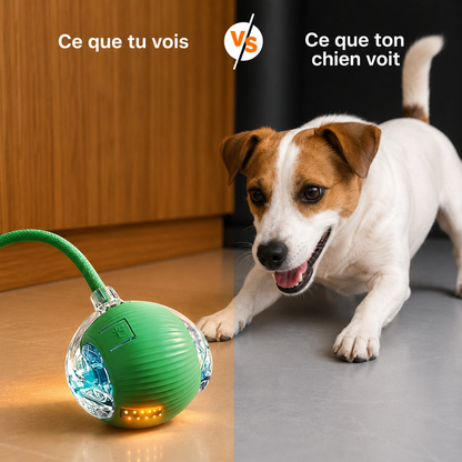Balle Interactive Automatique