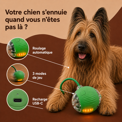 Balle Interactive Automatique