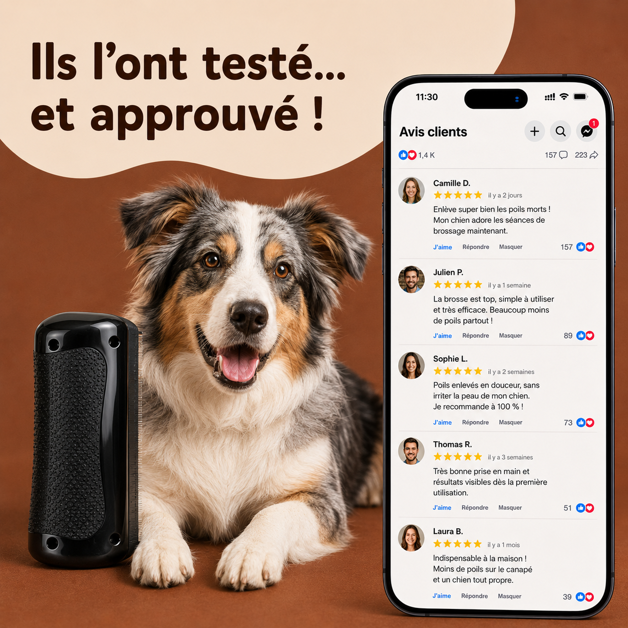 Brosse Démêlante Professionnelle