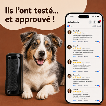 Brosse Démêlante Professionnelle