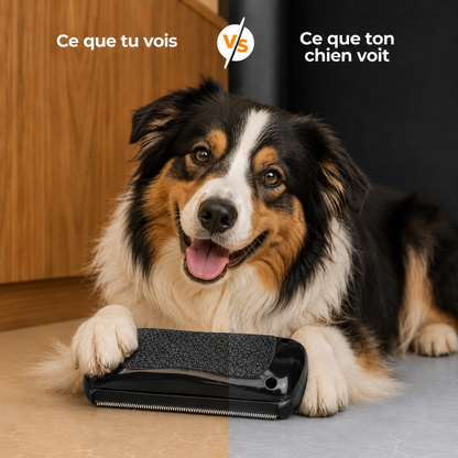 Brosse Démêlante Professionnelle