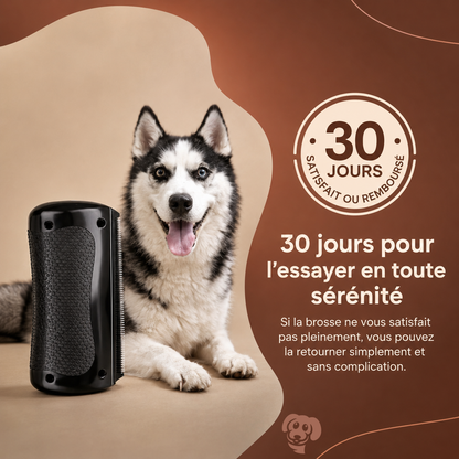Brosse Démêlante Professionnelle