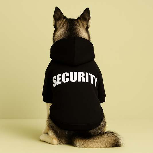 Sweat Capuche Coton
