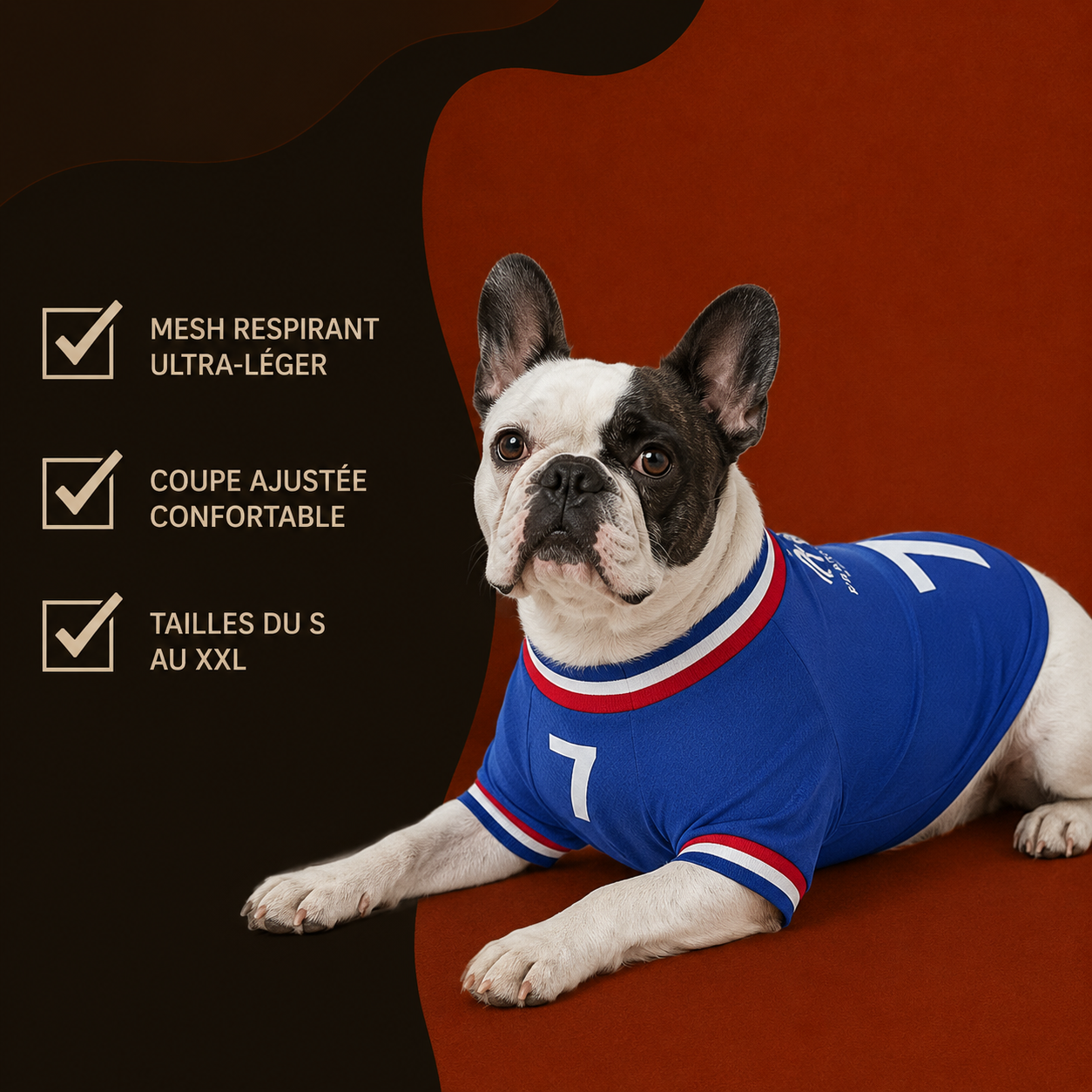 Maillot France pour chien — porté par un chien, FIFA 2026