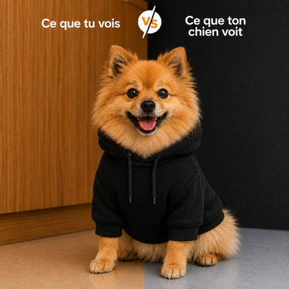 Hoodie Puppy
