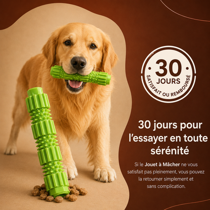 Jouet à Mâcher