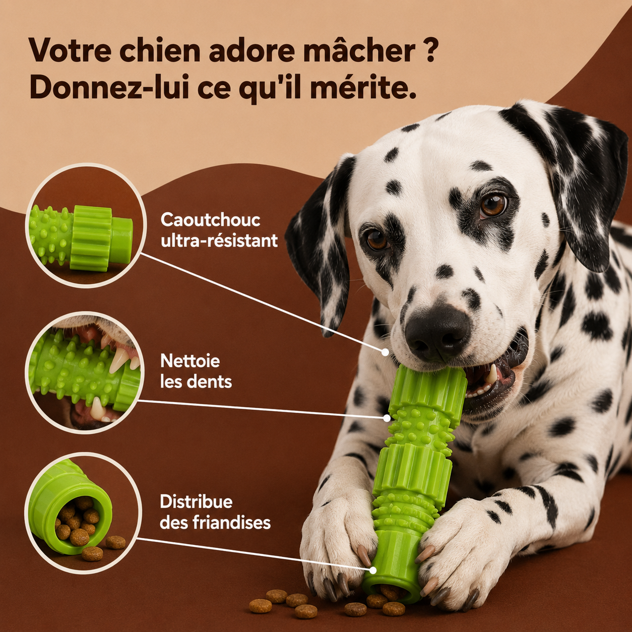Jouet à Mâcher
