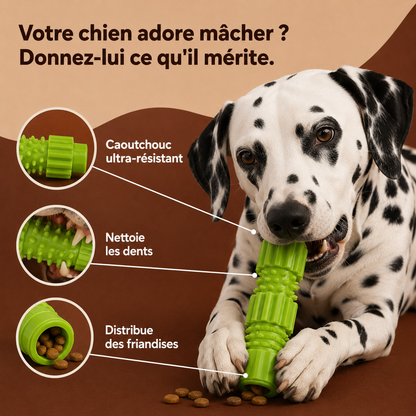 Jouet à Mâcher