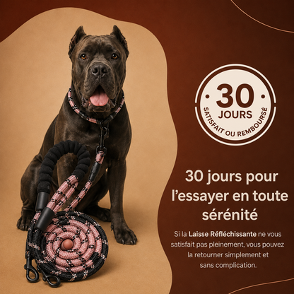 Laisse Réfléchissante