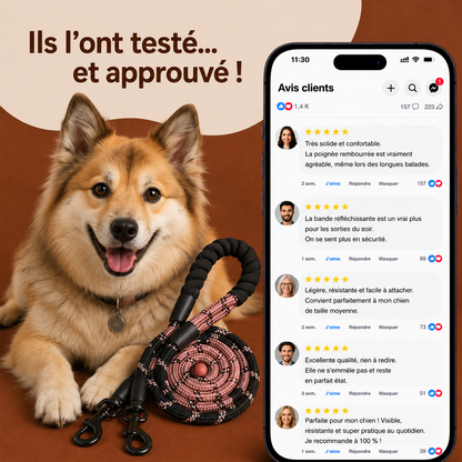 Laisse Réfléchissante