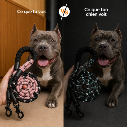 Laisse Réfléchissante