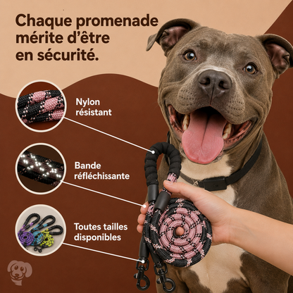 Laisse Réfléchissante