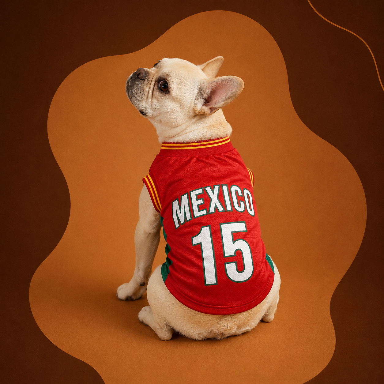 Maillot Mexique pour chien — vue de dos