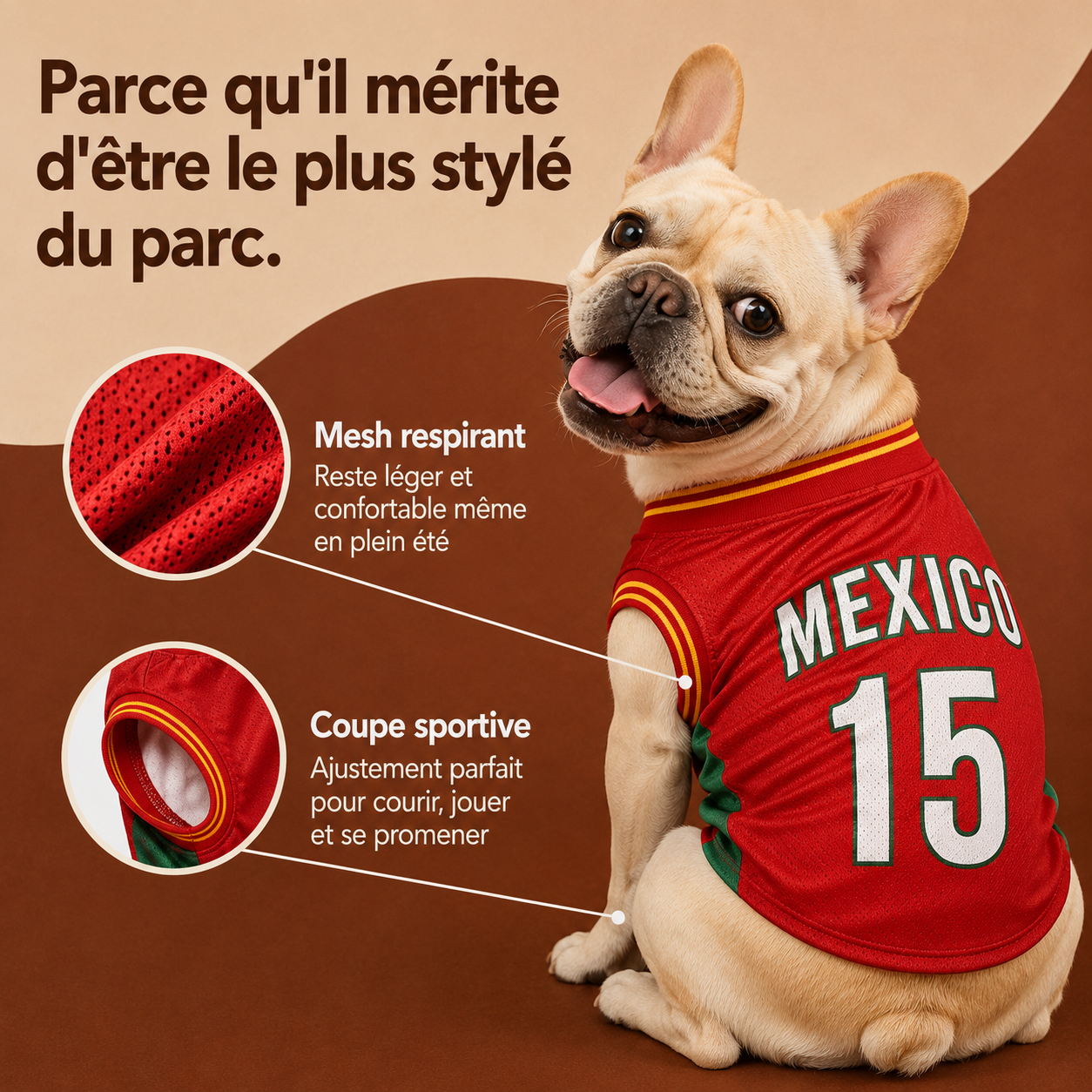 Maillot Mexique pour chien — porté par un chien CozyCanin