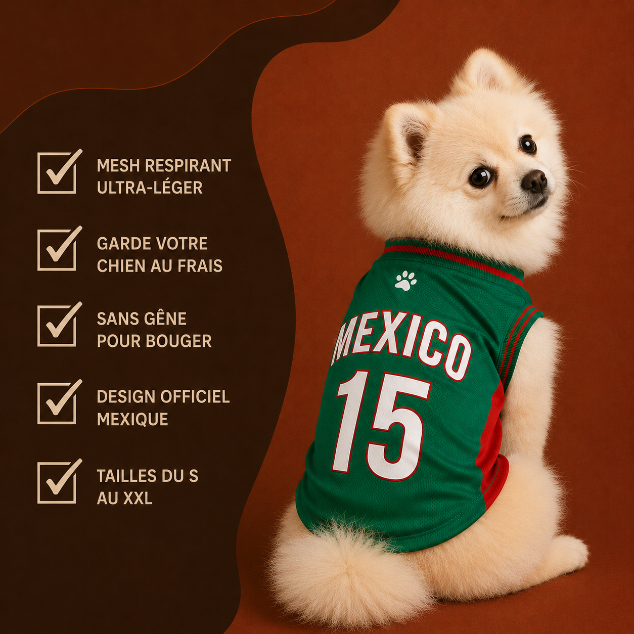 Maillot Mexique pour chien — zoom coutures et tissu mesh
