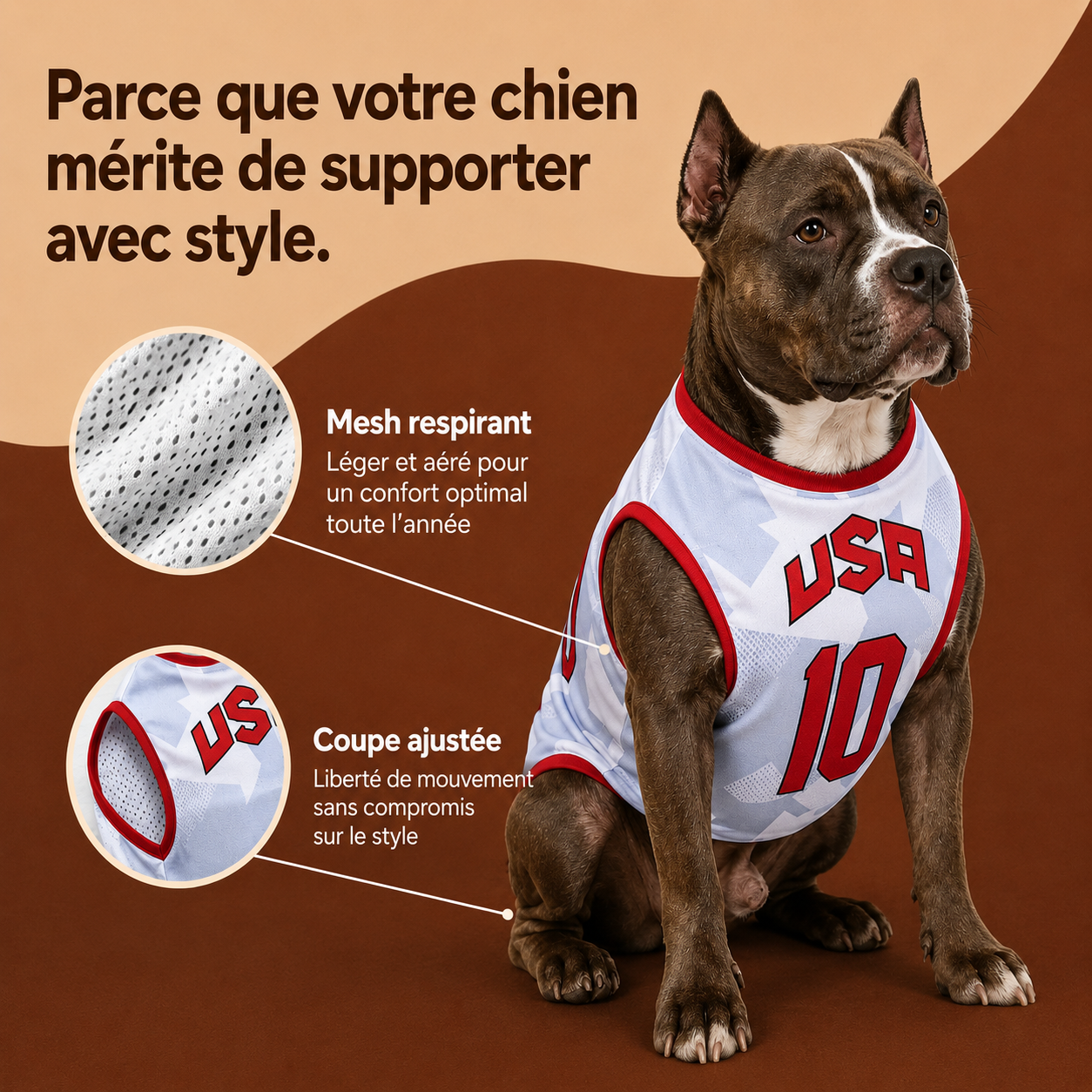 Maillot multi-nations pour chien — vue principale CozyCanin