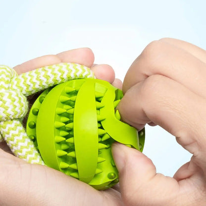 Balle Corde Interactive