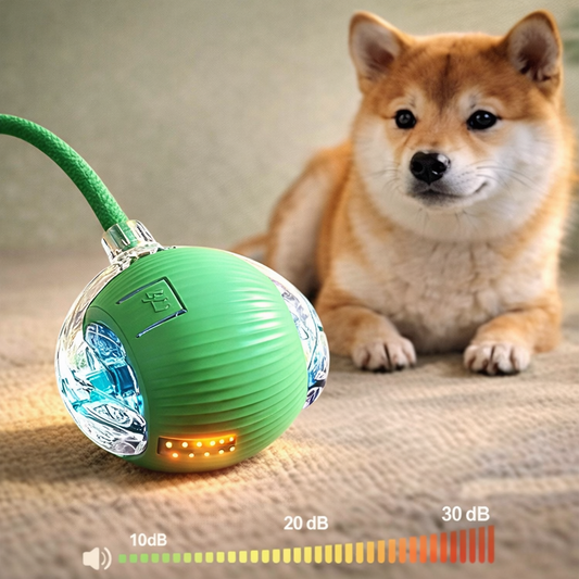 Balle Interactive Automatique